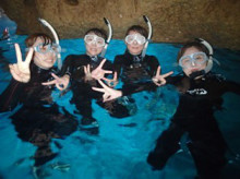 沖縄青の洞窟ダイビングショップ【マリンクラブクレアブログ】