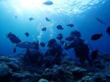 沖縄青の洞窟ダイビングショップ【マリンクラブクレアブログ】