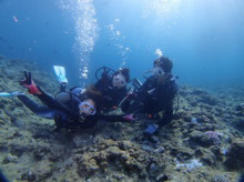 沖縄青の洞窟ダイビングショップ【マリンクラブクレアブログ】