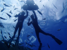 沖縄青の洞窟ダイビングショップ【マリンクラブクレアブログ】