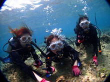 沖縄青の洞窟ダイビングショップ【マリンクラブクレアブログ】