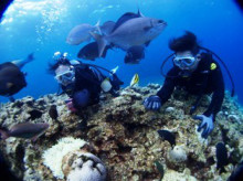 沖縄青の洞窟ダイビングショップ【マリンクラブクレアブログ】