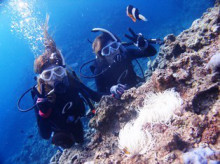 沖縄青の洞窟ダイビングショップ【マリンクラブクレアブログ】