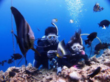 沖縄青の洞窟ダイビングショップ【マリンクラブクレアブログ】