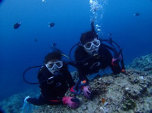 沖縄青の洞窟ダイビングショップ【マリンクラブクレアブログ】