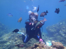 沖縄青の洞窟ダイビングショップ【マリンクラブクレアブログ】