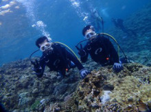 沖縄青の洞窟ダイビングショップ【マリンクラブクレアブログ】