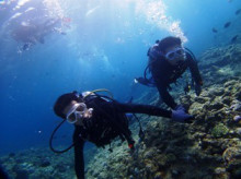 沖縄青の洞窟ダイビングショップ【マリンクラブクレアブログ】