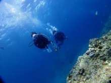 沖縄青の洞窟ダイビングショップ【マリンクラブクレアブログ】