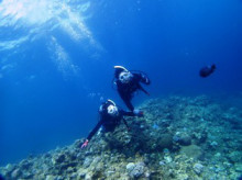 沖縄青の洞窟ダイビングショップ【マリンクラブクレアブログ】