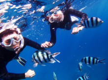 沖縄青の洞窟ダイビングショップ【マリンクラブクレアブログ】