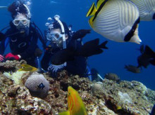 沖縄青の洞窟ダイビングショップ【マリンクラブクレアブログ】