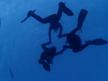 沖縄青の洞窟ダイビングショップ【マリンクラブクレアブログ】