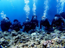 沖縄青の洞窟ダイビングショップ【マリンクラブクレアブログ】