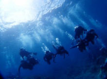 沖縄青の洞窟ダイビングショップ【マリンクラブクレアブログ】