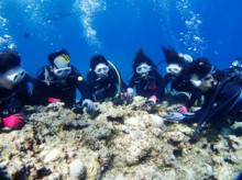 沖縄青の洞窟ダイビングショップ【マリンクラブクレアブログ】