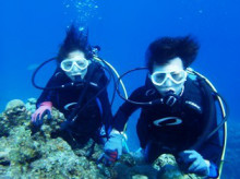 沖縄青の洞窟ダイビングショップ【マリンクラブクレアブログ】