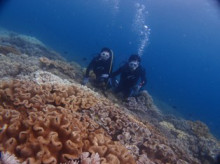 沖縄青の洞窟ダイビングショップ【マリンクラブクレアブログ】