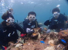 沖縄青の洞窟ダイビングショップ【マリンクラブクレアブログ】