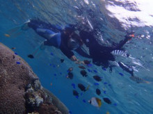 沖縄青の洞窟ダイビングショップ【マリンクラブクレアブログ】