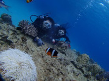 沖縄青の洞窟ダイビングショップ【マリンクラブクレアブログ】