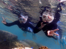 沖縄青の洞窟ダイビングショップ【マリンクラブクレアブログ】