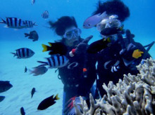 沖縄青の洞窟ダイビングショップ【マリンクラブクレアブログ】