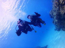 沖縄青の洞窟ダイビングショップ【マリンクラブクレアブログ】