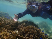 沖縄青の洞窟ダイビングショップ【マリンクラブクレアブログ】