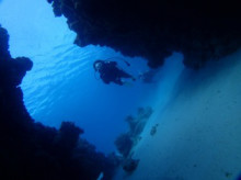 沖縄青の洞窟ダイビングショップ【マリンクラブクレアブログ】