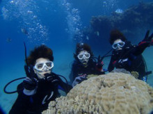 沖縄青の洞窟ダイビングショップ【マリンクラブクレアブログ】