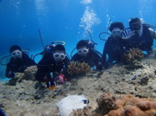 沖縄青の洞窟ダイビングショップ【マリンクラブクレアブログ】