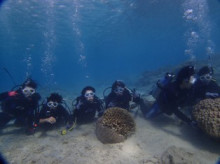 沖縄青の洞窟ダイビングショップ【マリンクラブクレアブログ】