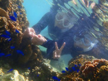 沖縄青の洞窟ダイビングショップ【マリンクラブクレアブログ】