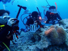 沖縄青の洞窟ダイビングショップ【マリンクラブクレアブログ】