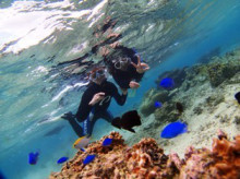 沖縄青の洞窟ダイビングショップ【マリンクラブクレアブログ】