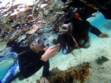 沖縄青の洞窟ダイビングショップ【マリンクラブクレアブログ】