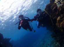 沖縄青の洞窟ダイビングショップ【マリンクラブクレアブログ】