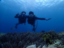 沖縄青の洞窟ダイビングショップ【マリンクラブクレアブログ】