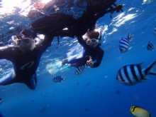 沖縄青の洞窟ダイビングショップ【マリンクラブクレアブログ】