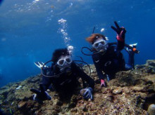 沖縄青の洞窟ダイビングショップ【マリンクラブクレアブログ】