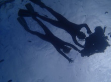 沖縄青の洞窟ダイビングショップ【マリンクラブクレアブログ】