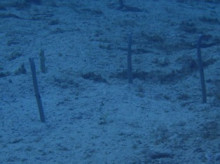 沖縄青の洞窟ダイビングショップ【マリンクラブクレアブログ】