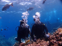 沖縄青の洞窟ダイビングショップ【マリンクラブクレアブログ】