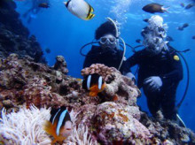 沖縄青の洞窟ダイビングショップ【マリンクラブクレアブログ】