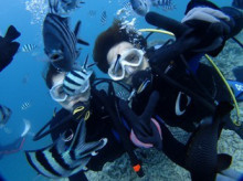 沖縄青の洞窟ダイビングショップ【マリンクラブクレアブログ】