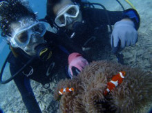 沖縄青の洞窟ダイビングショップ【マリンクラブクレアブログ】