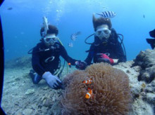 沖縄青の洞窟ダイビングショップ【マリンクラブクレアブログ】