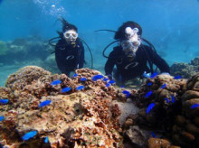 沖縄青の洞窟ダイビングショップ【マリンクラブクレアブログ】