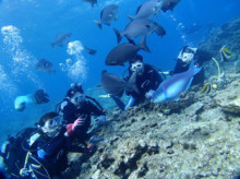 沖縄青の洞窟ダイビングショップ【マリンクラブクレアブログ】